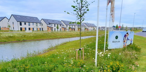 This image: This image shows a photo of another Hargreaves Land residential scheme, with a SuDs basin 
					in the foreground.
					The map: The map has zoomed into the north-eastern part of the site, overlaid with an indicative drainage plan.
					There are interactive markers which show illustrative photos of the wetland and a SuDs attenuation basin when 
					clicked on.